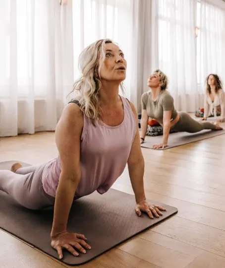 Hatha vinyasa